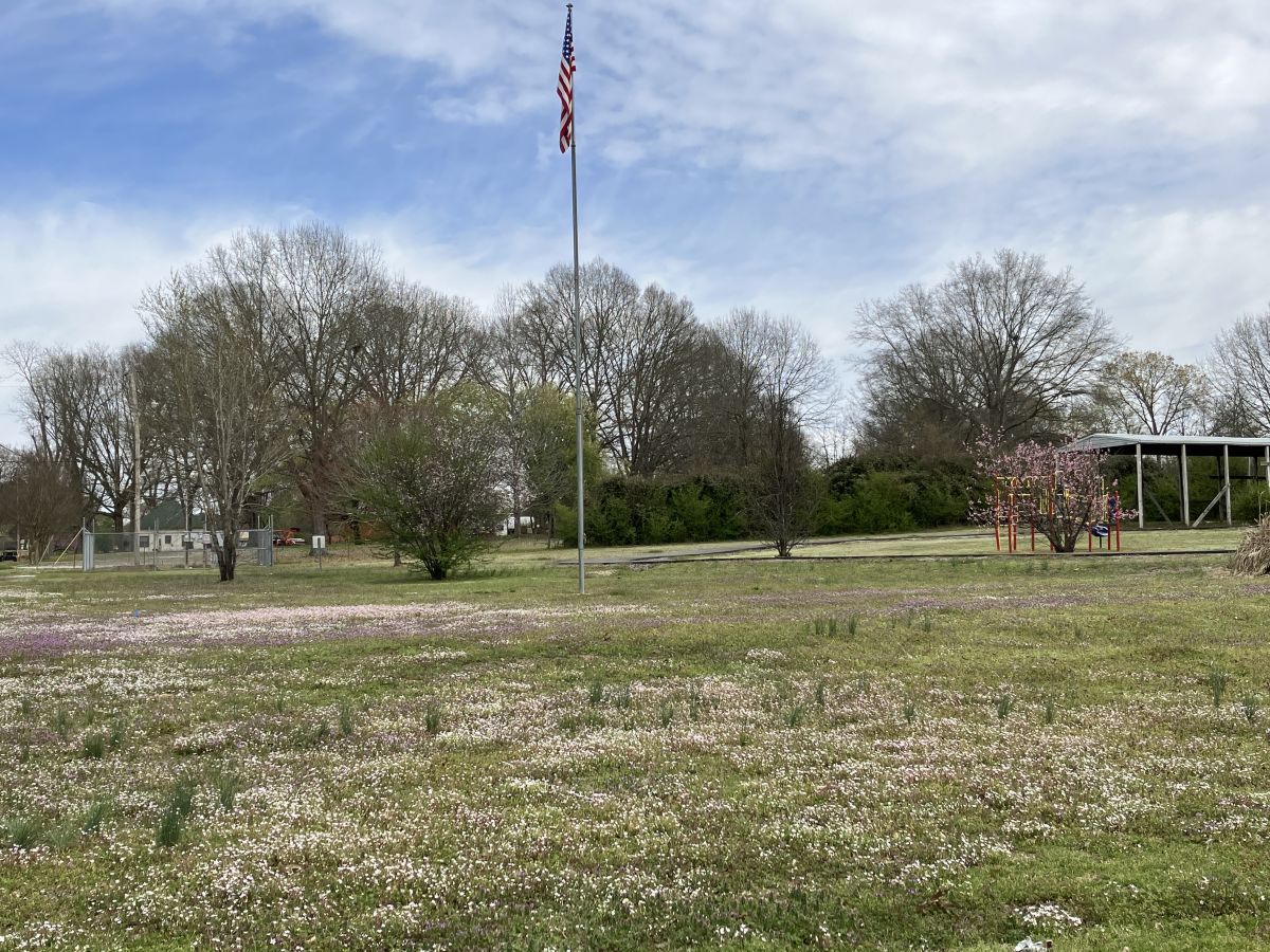 grassy area with walking trail and playground equipment